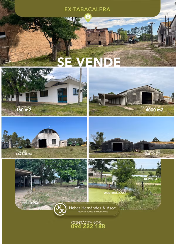 Imagen 3